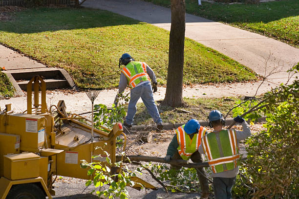 Best Grass Overseeding  in Englewood, FL